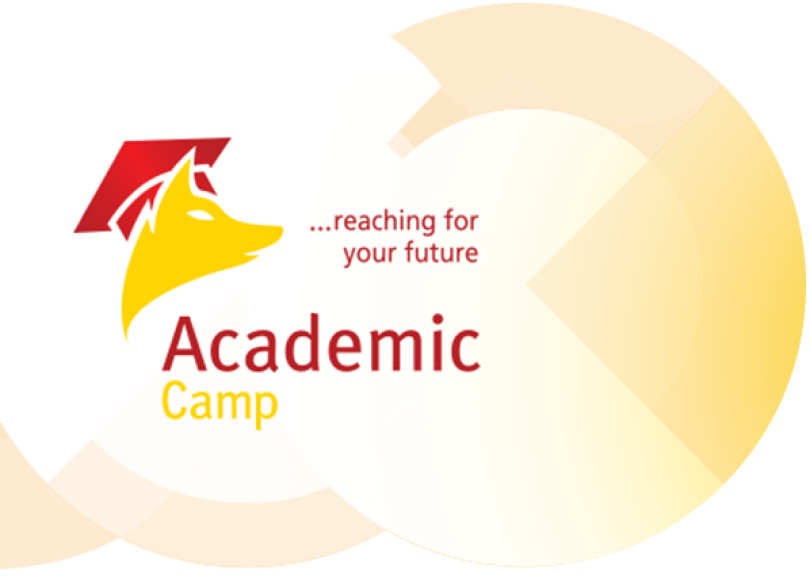 Academic Summer France